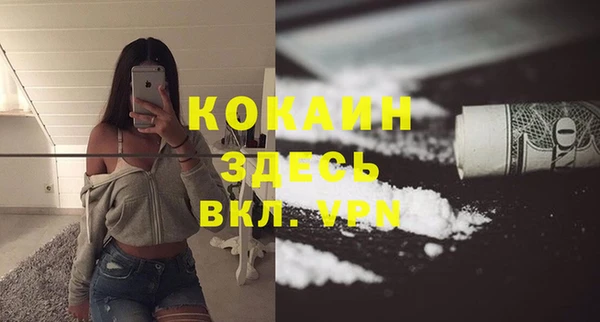 индика Абаза