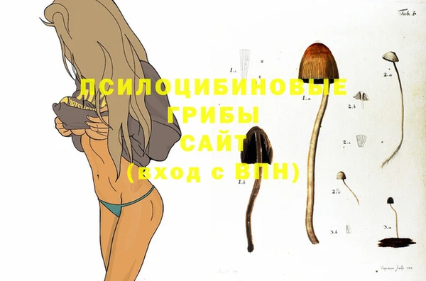трава Абинск
