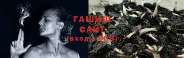 индика Абаза