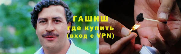 индика Абаза