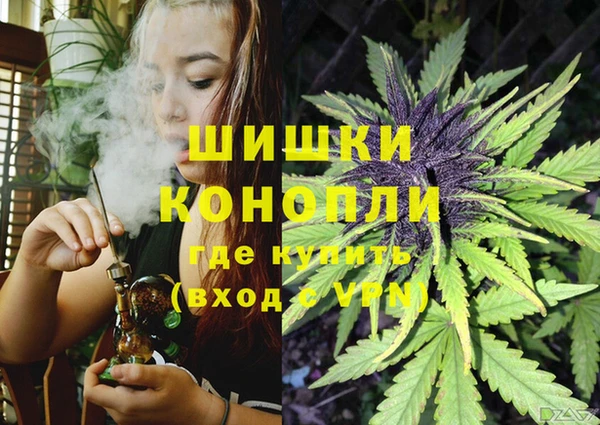 дмт Алзамай