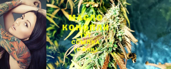 индика Абаза