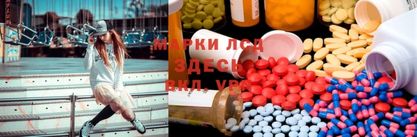 индика Абаза